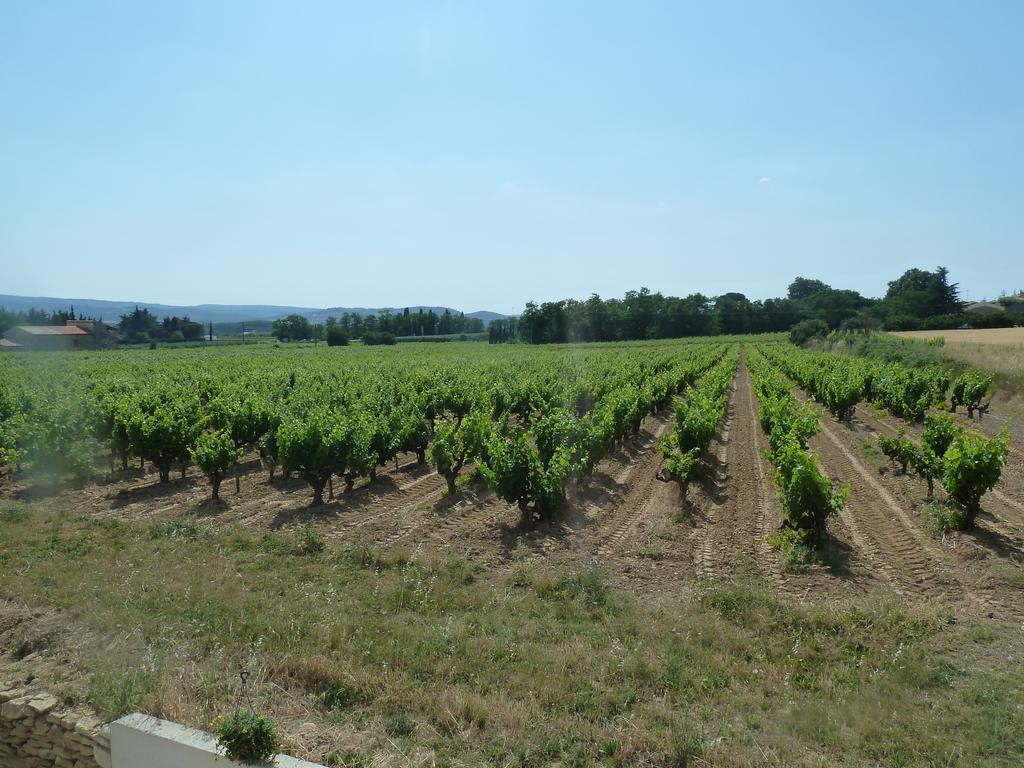La Vigne Villa Saint-Just  Kamer foto
